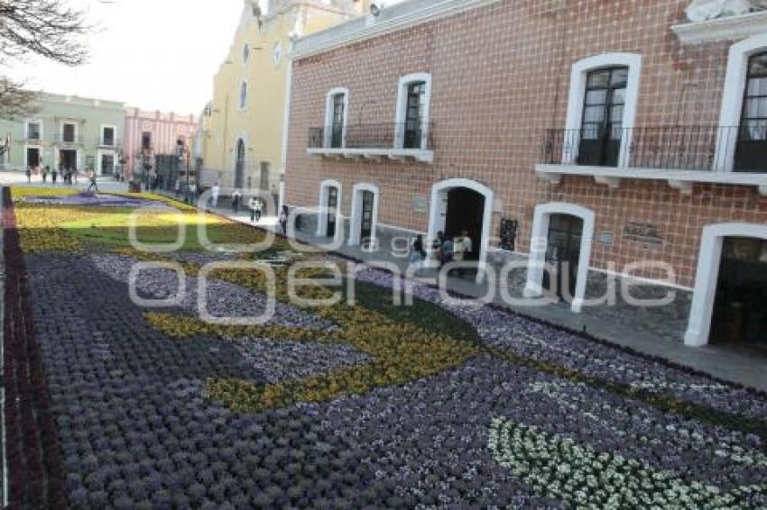 ATLIXCO . TAPETE DE PRIMAVERA