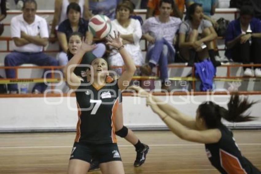 FINAL FOUR . VOLEIBOL