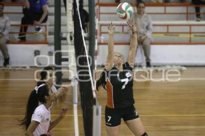 FINAL FOUR . VOLEIBOL