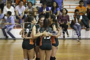 FINAL FOUR . VOLEIBOL