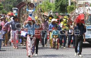 PROCESIÓN JINETES . TEHUACÁN