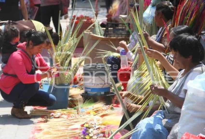 VENTA DE PALMAS . TEHUACÁN