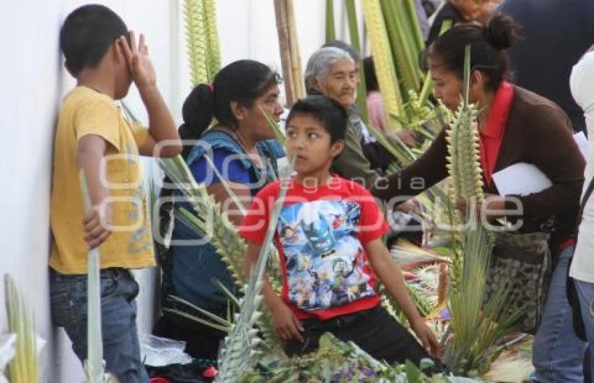 VENTA DE PALMAS . TEHUACÁN