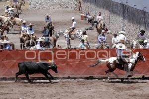 CIRCUITO SUR DE CHARRERÍA