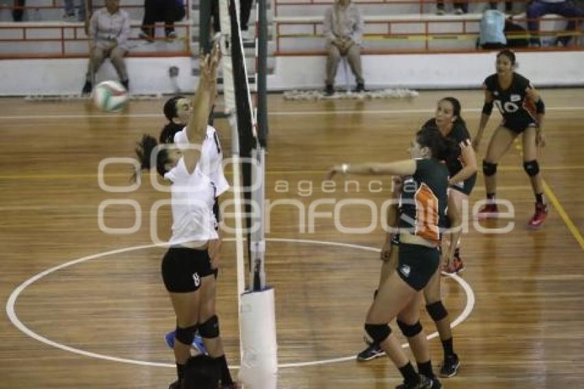 FINAL FOUR . VOLEIBOL