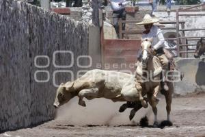 CIRCUITO SUR DE CHARRERÍA