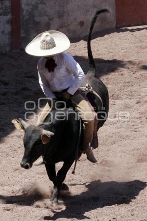 CIRCUITO SUR DE CHARRERÍA