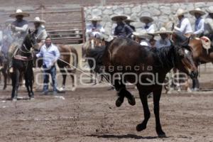 CIRCUITO SUR DE CHARRERÍA