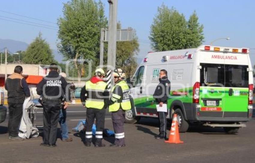 ATROPELLADO AUTOPISTA MÉXICO-PUEBLA