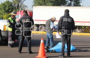 ATROPELLADO AUTOPISTA MÉXICO-PUEBLA