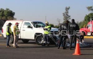 ATROPELLADO AUTOPISTA MÉXICO-PUEBLA