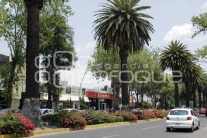 AVENIDA JUÁREZ