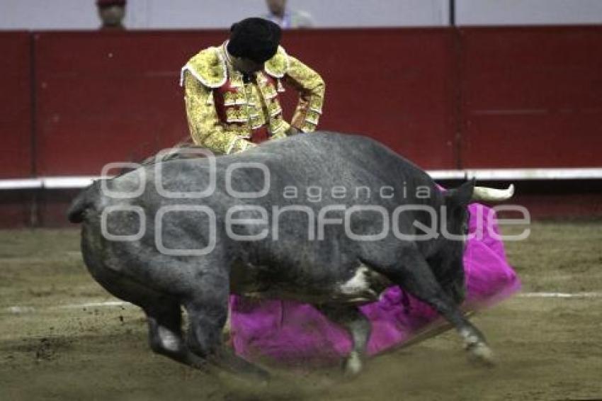 ACRÓPOLIS . TOROS