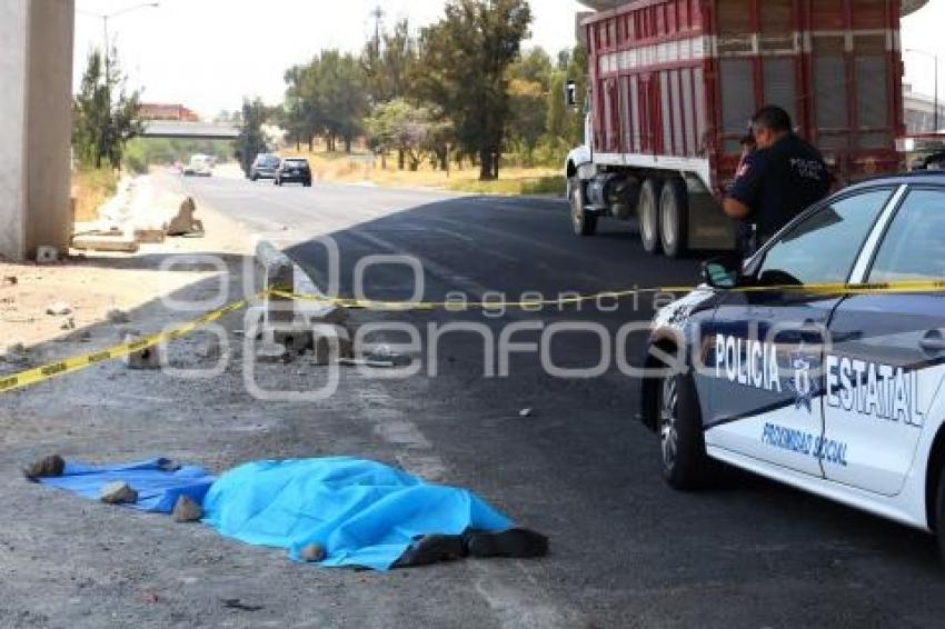 ATROPELLADO . AUTOPISTA