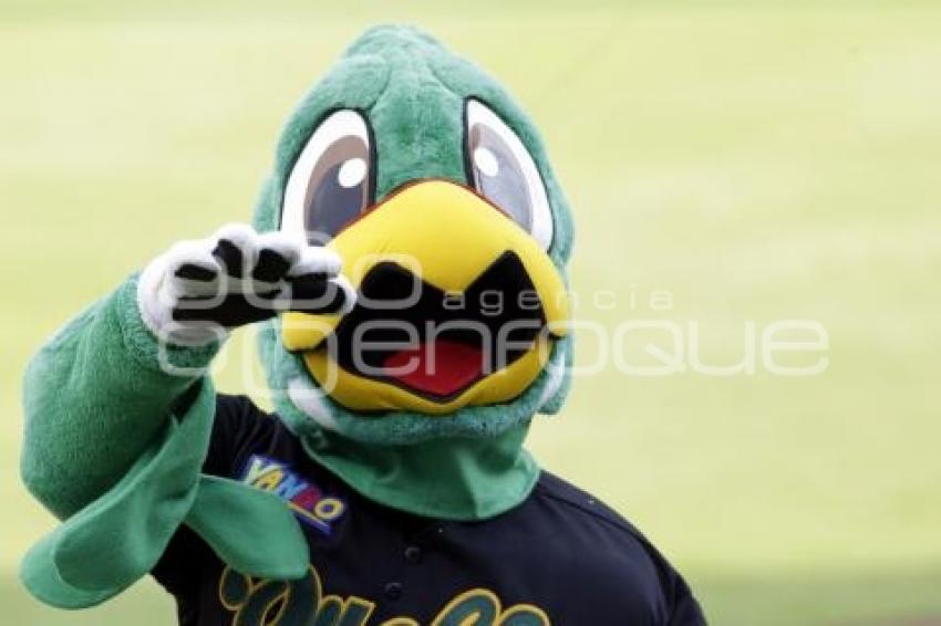 BÉISBOL . PERICOS VS DIABLOS ROJOS