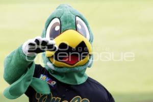 BÉISBOL . PERICOS VS DIABLOS ROJOS