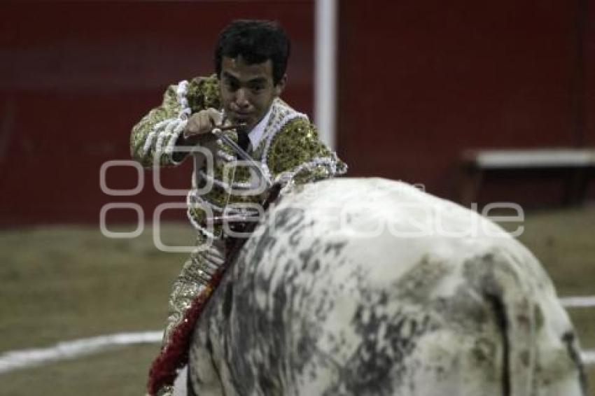 ACRÓPOLIS . TOROS