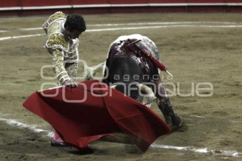 ACRÓPOLIS . TOROS