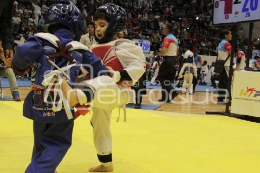 TAEKWONDO CHALLENGER 2017