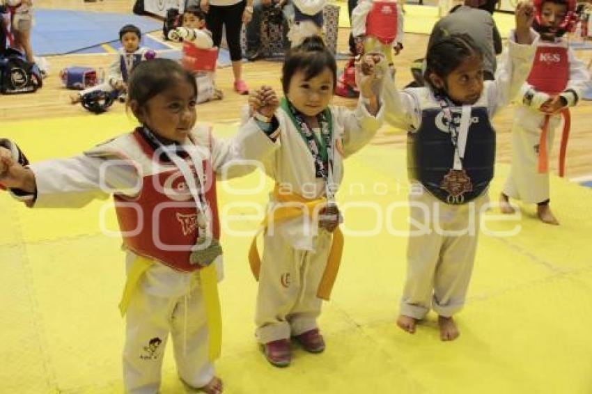 TAEKWONDO CHALLENGER 2017