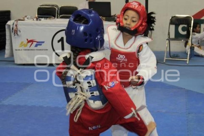 TAEKWONDO CHALLENGER 2017