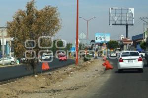 OBRAS . FORJADORES