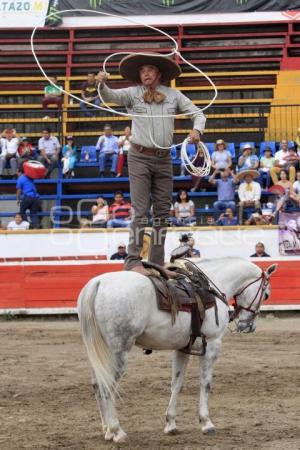 ALTA ESCUELA DOMECQ