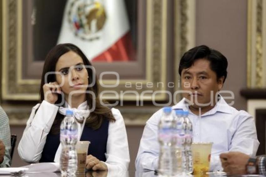 CONGRESO . COMISIÓN PERMANENTE