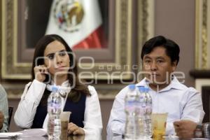 CONGRESO . COMISIÓN PERMANENTE