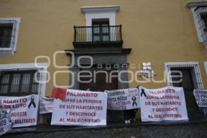 MANIFESTACIÓN . PALMARITO