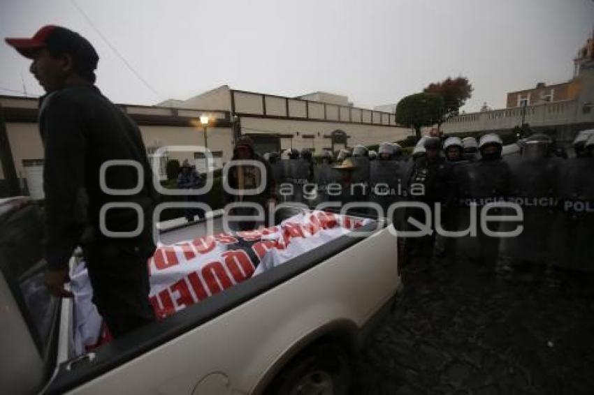 MANIFESTACIÓN . PALMARITO