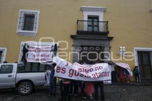 MANIFESTACIÓN . PALMARITO