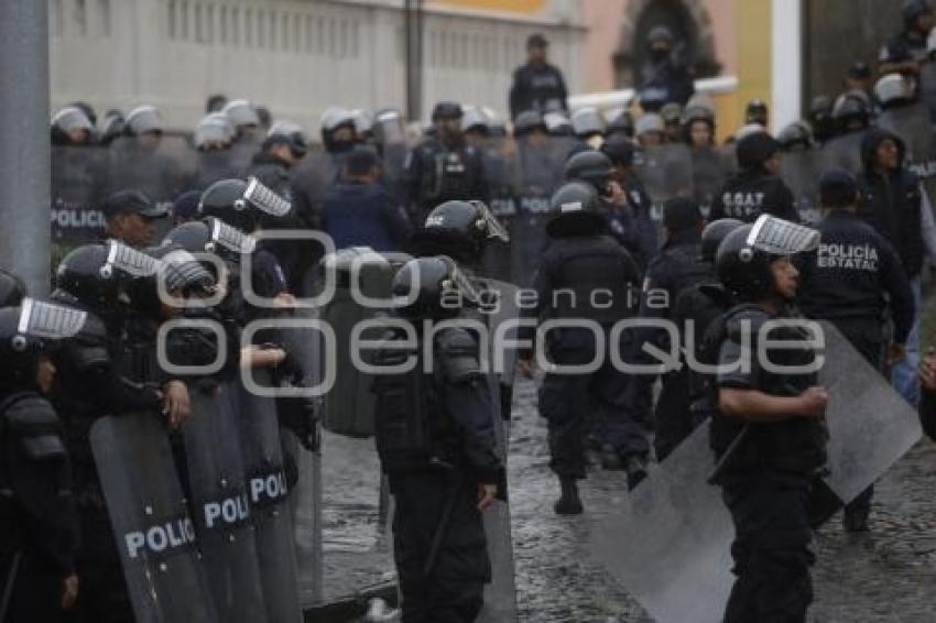 MANIFESTACIÓN . PALMARITO