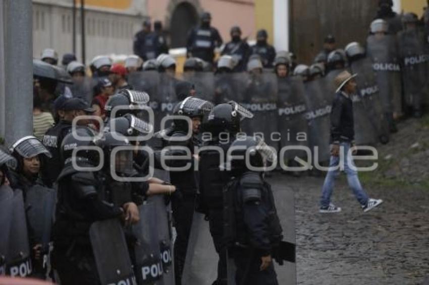 MANIFESTACIÓN . PALMARITO