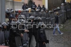 MANIFESTACIÓN . PALMARITO