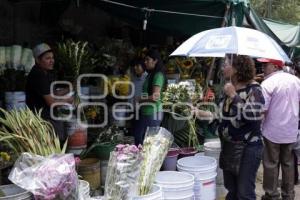 DÍA DE LAS MADRES . PANTEONES