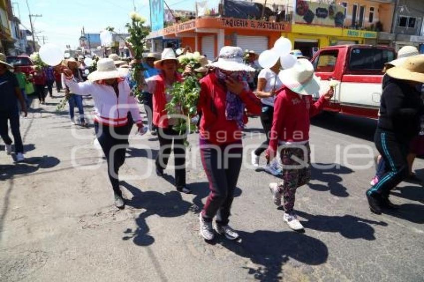 MARCHA EN PALMARITO