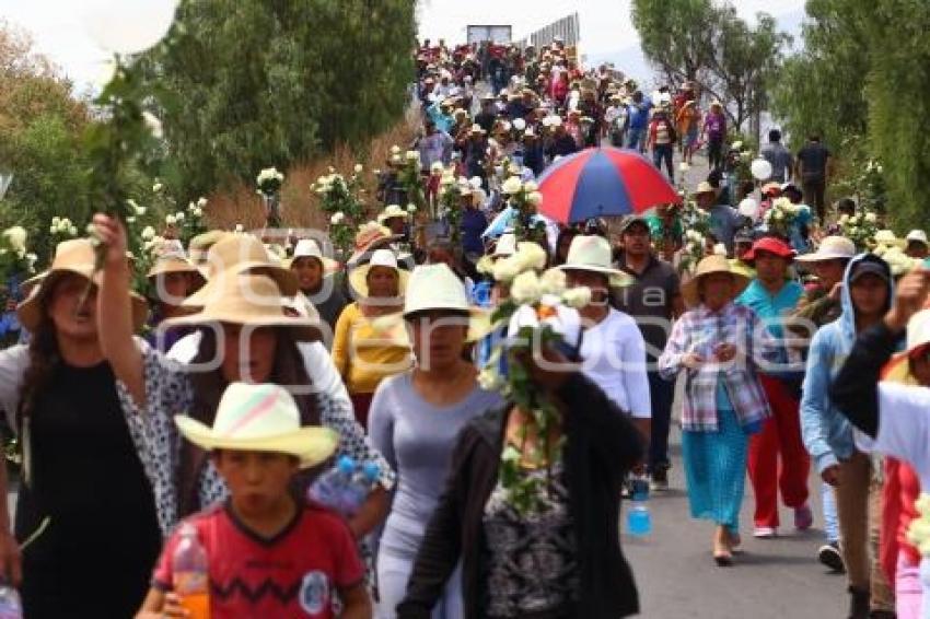 MARCHA EN PALMARITO