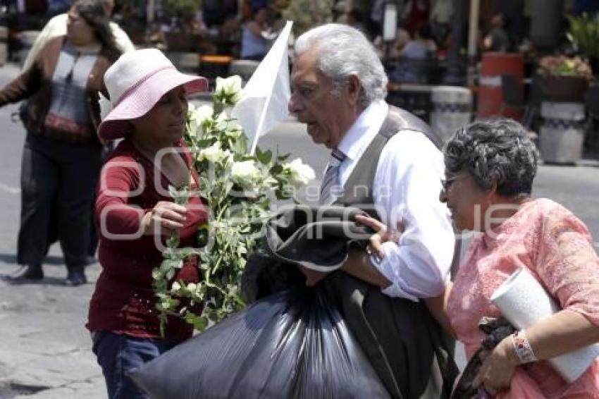 MANIFESTACION PALMARITO