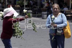 MANIFESTACION PALMARITO