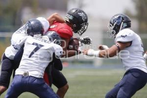 ONEFA . LOBOS VS TOROS