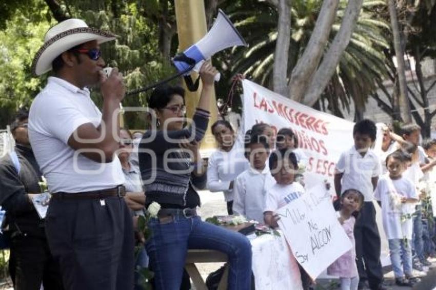 MANIFESTACION PALMARITO