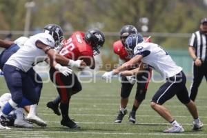 ONEFA . LOBOS VS TOROS