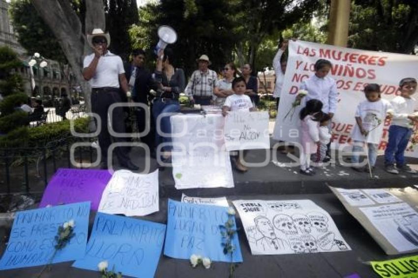 MANIFESTACION PALMARITO