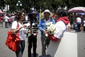 MANIFESTACION PALMARITO