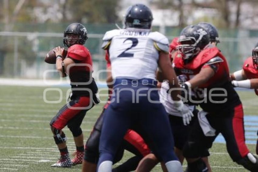 ONEFA . LOBOS VS TOROS