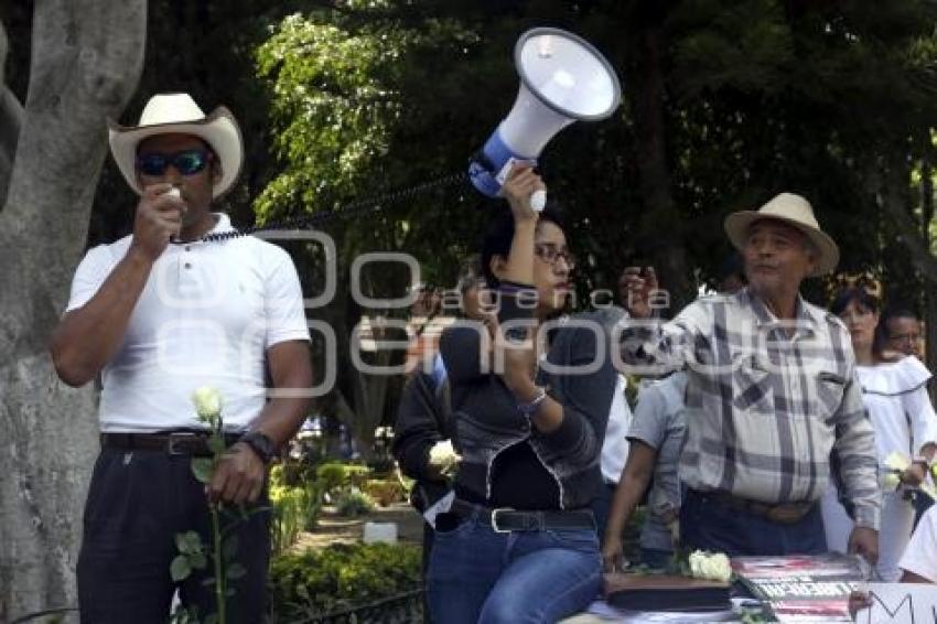 MANIFESTACION PALMARITO