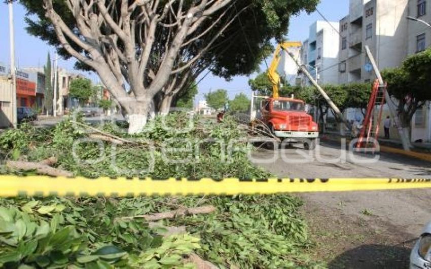 TEHUACÁN . AFECTACIONES TROMBA