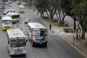 TRANSPORTE PÚBLICO