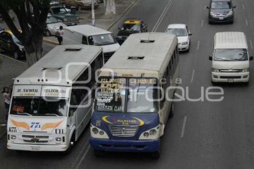 TRANSPORTE PÚBLICO